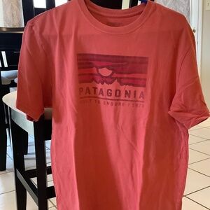 Patagonia Tshirt